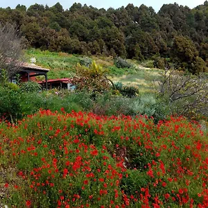 Casa El Retiro En Сasa de vacaciones